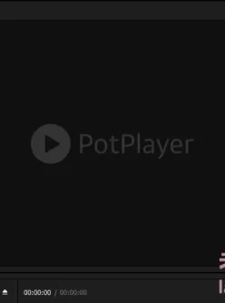 PotPlayer241015(1.7.22347)去广告 绿色版全能多媒体影音播放器